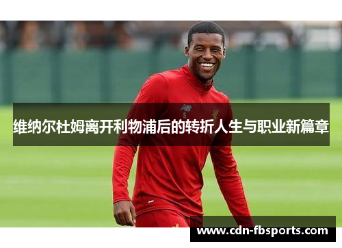 维纳尔杜姆离开利物浦后的转折人生与职业新篇章