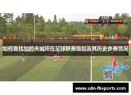 如何查找加的夫城所在足球联赛级别及其历史参赛情况