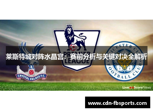 莱斯特城对阵水晶宫：赛前分析与关键对决全解析