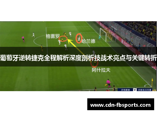 葡萄牙逆转捷克全程解析深度剖析技战术亮点与关键转折