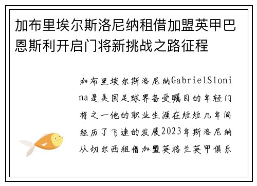 加布里埃尔斯洛尼纳租借加盟英甲巴恩斯利开启门将新挑战之路征程