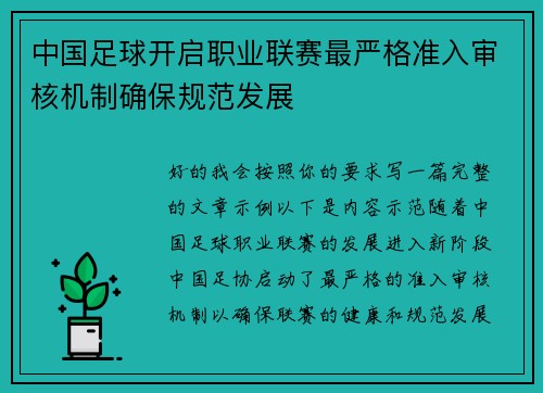中国足球开启职业联赛最严格准入审核机制确保规范发展 中国足球开启职业联赛最严格准入审核机制确保规范发展